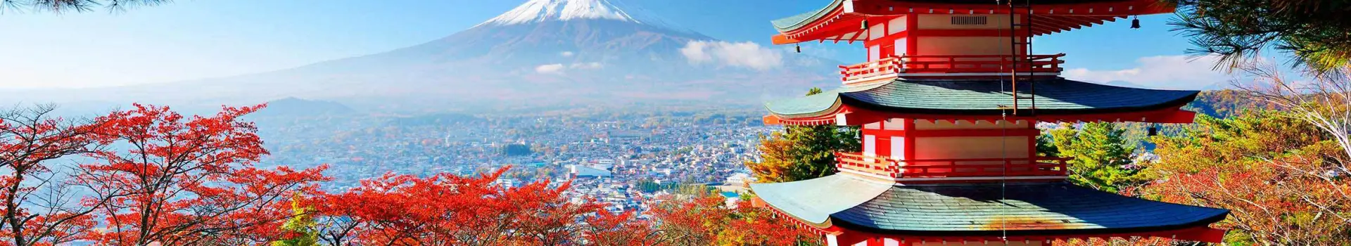 Precio del Yen japonés