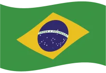 Bandera real brasileño